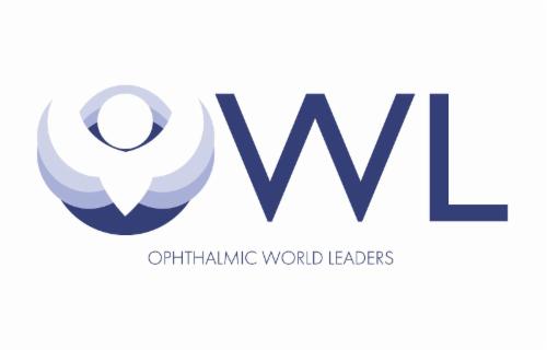 OWL: Advancing Diversity in Leadership