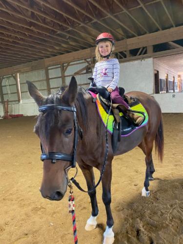 Stone Valleys Ray of Hope Equine Rescue logo