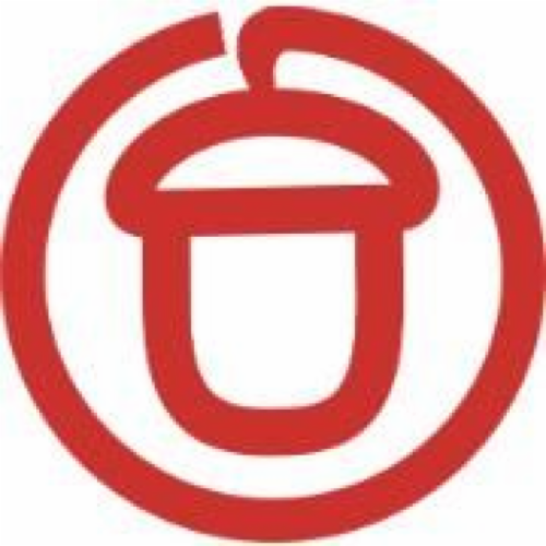 ACORN INTERNATIONAL INC logo