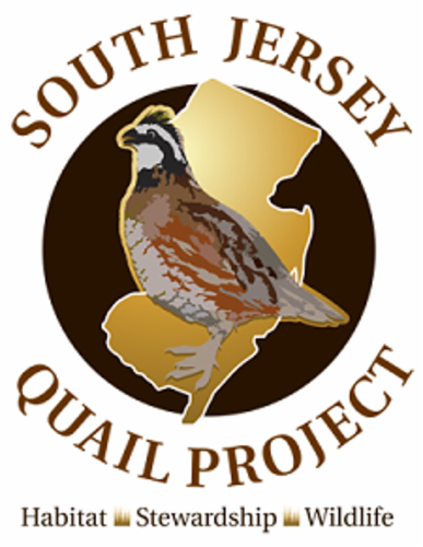South Jersey Quail Project logo