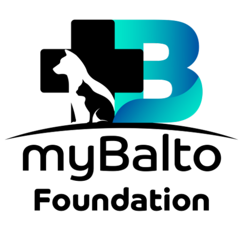 MYBALTO FOUNDATION logo