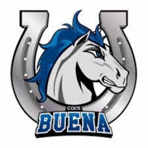 Buena Music Aka Buena Bands Association logo