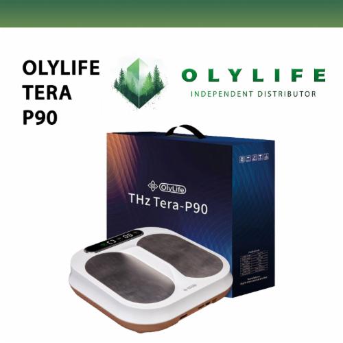 【新品未開封】OlyLife THz Tera-P90 PayPal