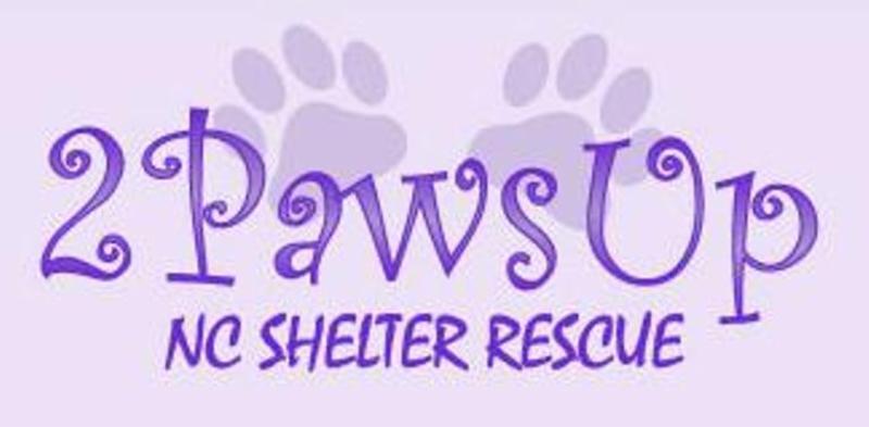 2 Paws Up logo