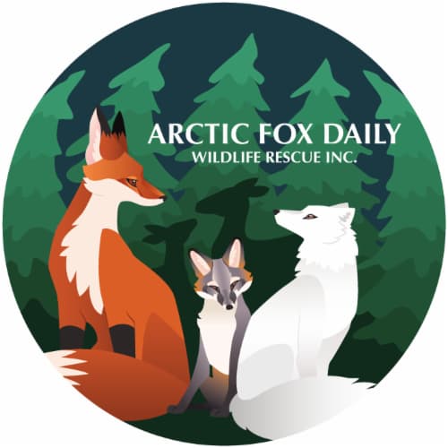 Arctic Fox Daily Wildlife Rescue, Inc. logo