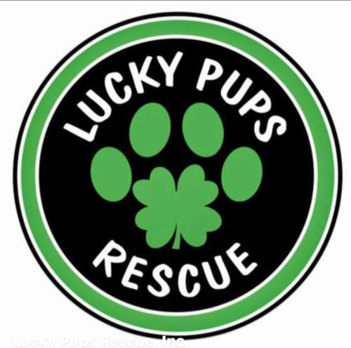 Lucky Pups Rescue Inc logo