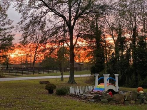 Alabama Pug Rescue and Adoption, Inc.