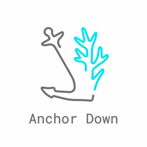 Project Anchor Down INC. logo