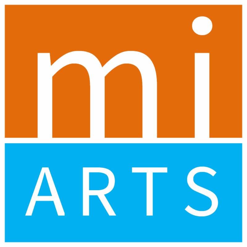 Mirror Image logo