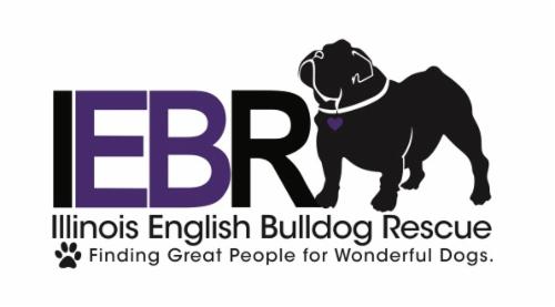 Illinois English Bulldog Rescue logo