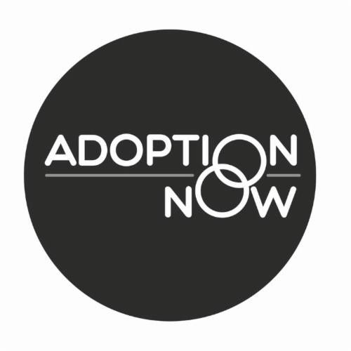 Adoption Now logo