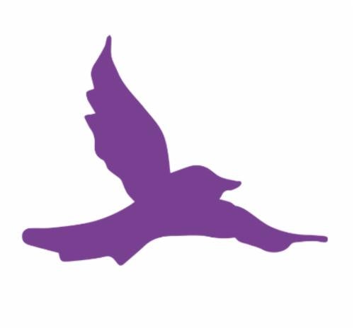 DOVE Center logo