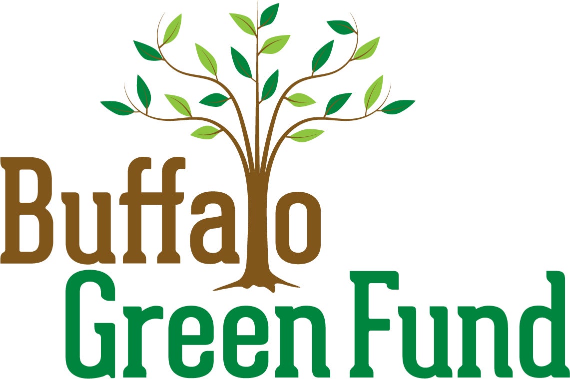 Buffalo Green Fund, Inc. logo
