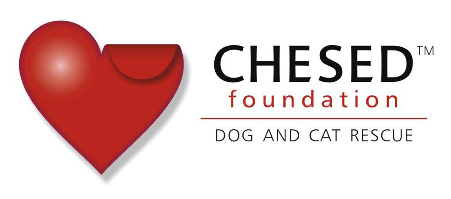 Chesed Foundation, Inc. logo