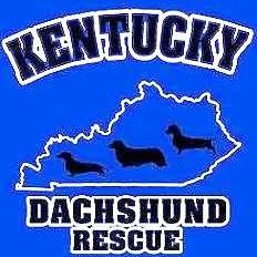 KENTUCKY DACHSHUND RESCUE, INC logo