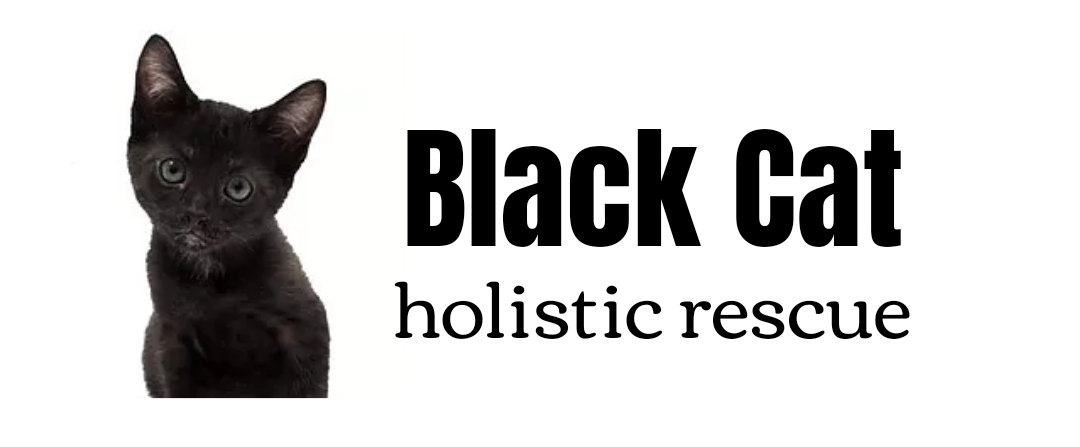 Black Cat Holistic Rescue Inc. logo