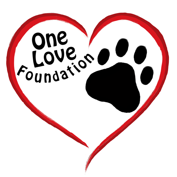 One Love Foundation Inc. logo