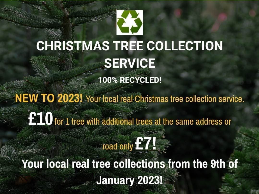 Christmas tree collection service PayPal