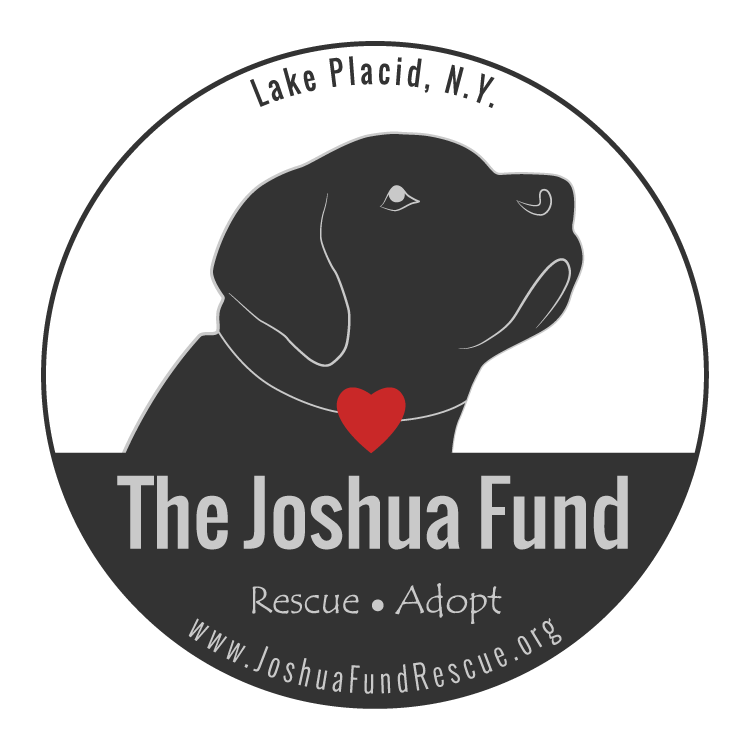 The Joshua Fund Inc logo