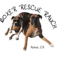 Boxer rescue ranch,inc