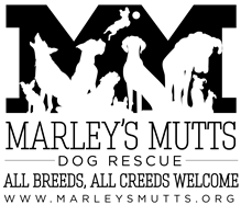 Marley's Mutts Dog Rescue logo