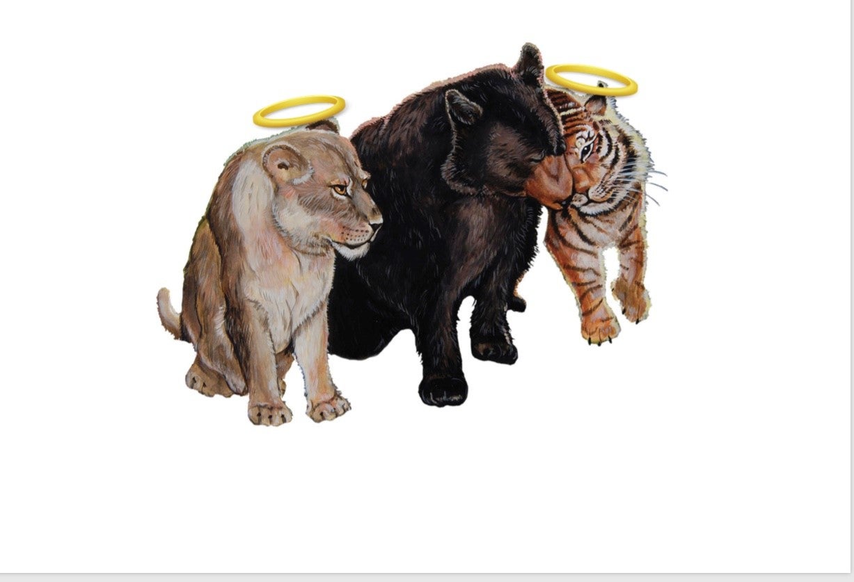 Noah's Ark Animal Rehabilitation Center, Inc logo