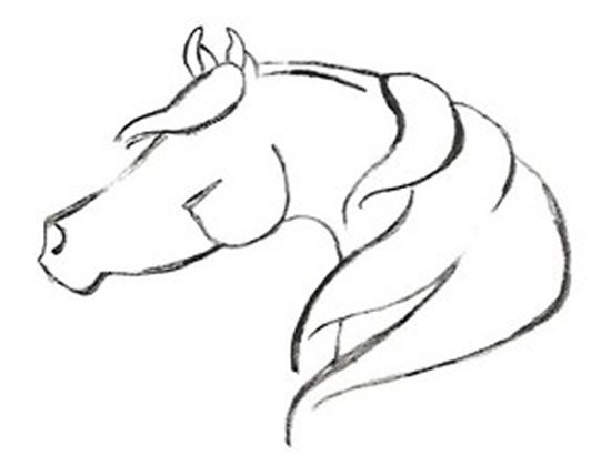 Maple Grove Horse Sanctuary logo