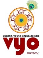 VYO Boston, Inc logo