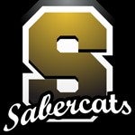 The Saguaro Saber Link Inc. logo