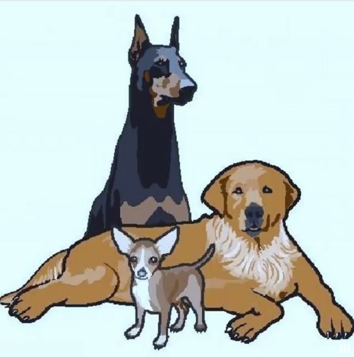 Teddy's Rescue Inc. logo