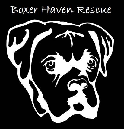 Boxer Haven Rescue logo