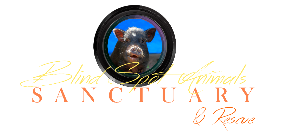The Blind Spot Animals Sanctuary Inc. logo
