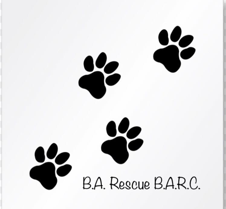 BARC Broken Arrow Rescue Corp. logo