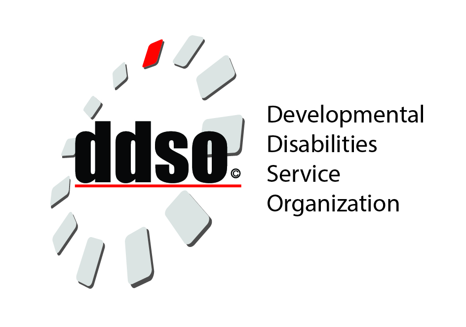 DDSO, Inc logo