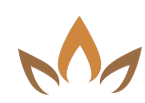 Vietnamese American Services logo