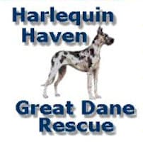 Harlequin Haven Great Dane Rescue logo