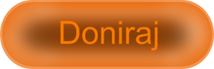 Donate with PayPal button