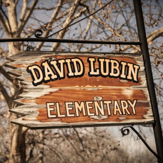 David Lubin Parent Teachers Group logo