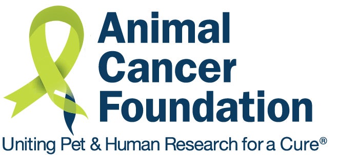 Animal Cancer Foundation logo