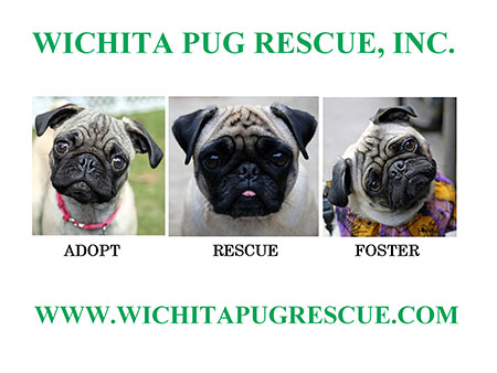 Wichita Pug Rescue, Inc. logo