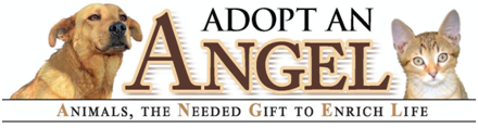 Adopt-An-A.N.G.E.L. logo