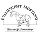 Evanescent Mustang Rescue and Sanctuary logo