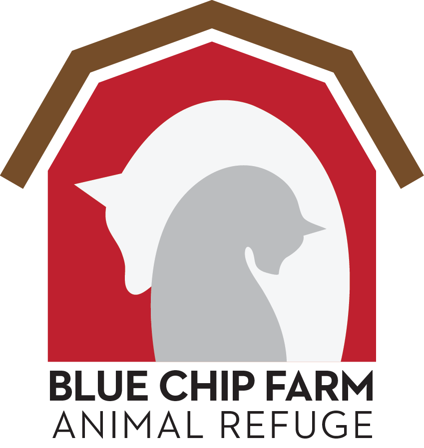 Blue Chip Farm Inc. logo