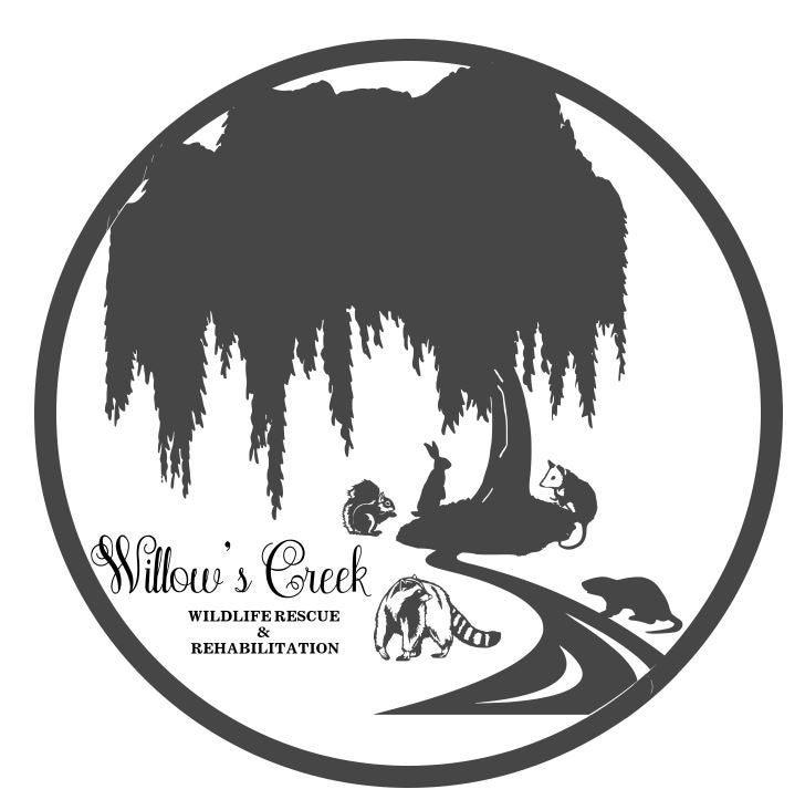 Willows Creek Wildlife Rescue & Rehabilitation INC