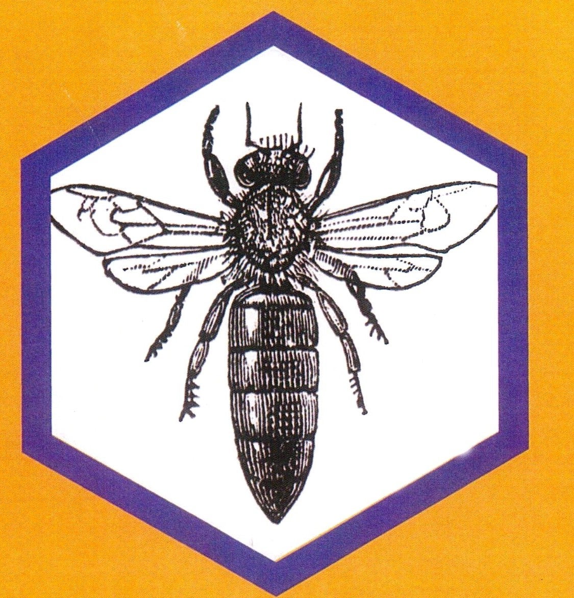 NY Bee Wellness logo
