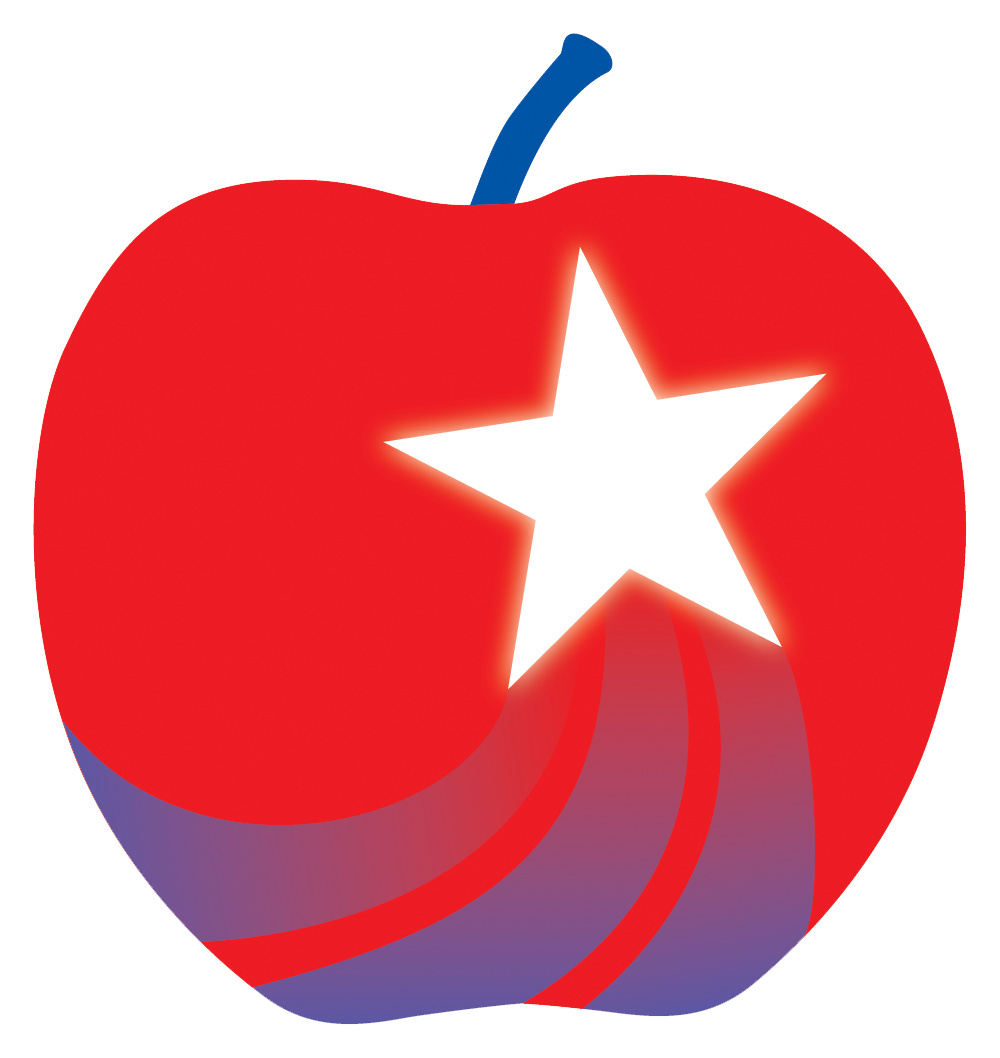 Teachers in Space, Inc. logo