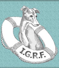 Italian Greyhound Rescue Foundation Inc logo
