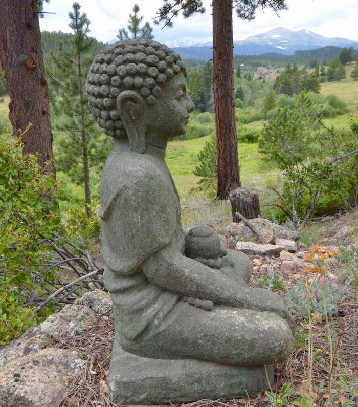 Impermanent Sangha logo