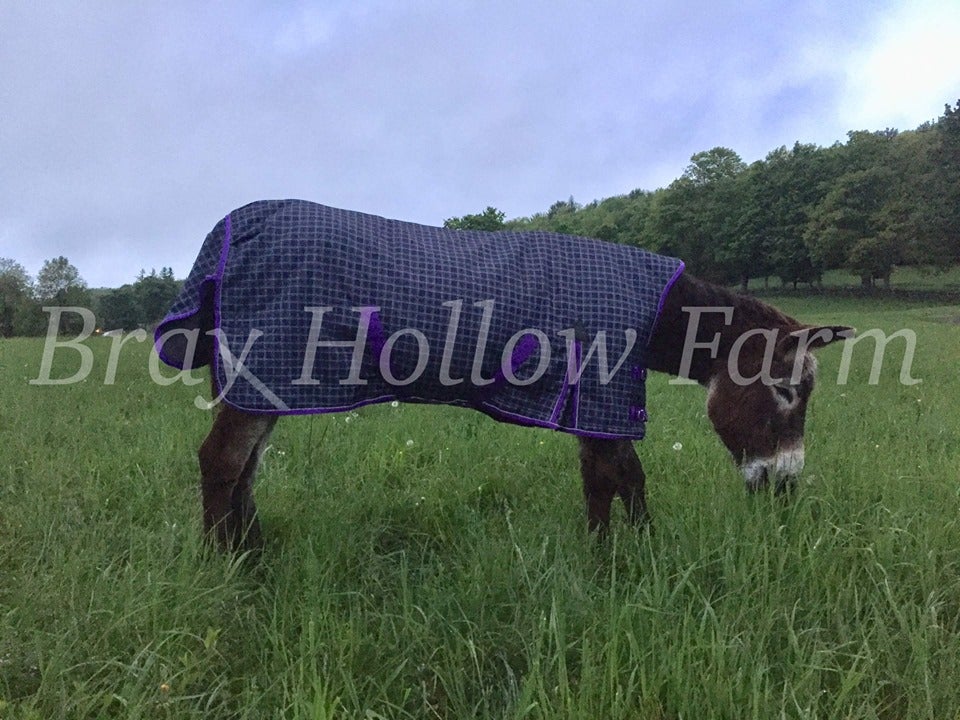 Heavyweight Donkey Turnout Blanket PayPal