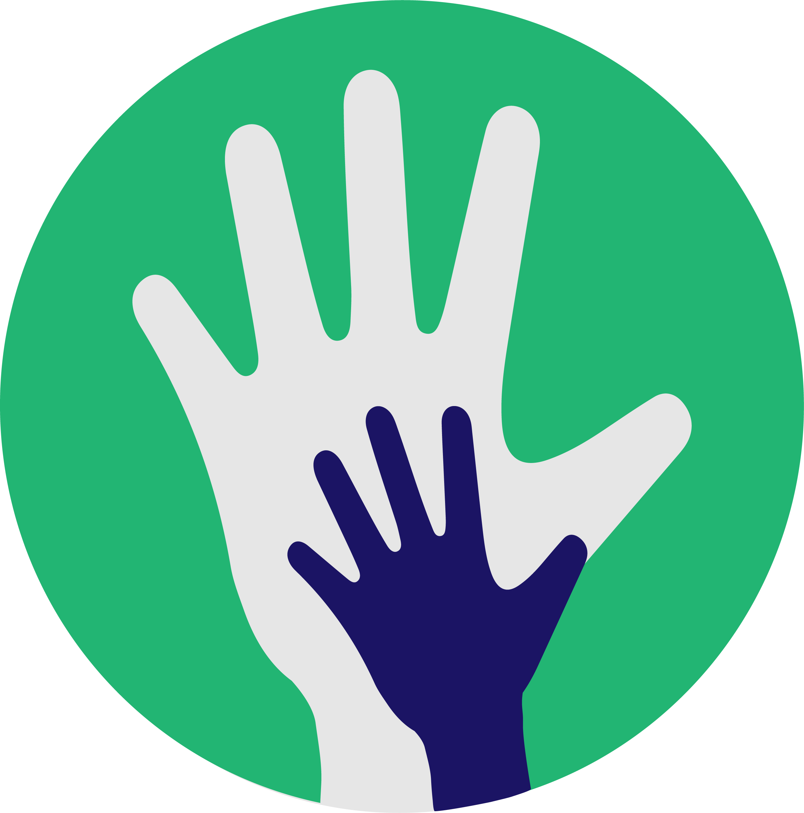 Comfort Aid International logo